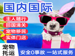 库尔勒梨城机场快运国际宠物托运 【国